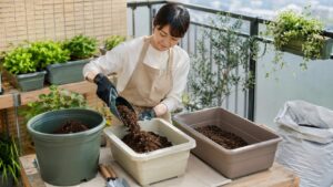 野菜用培養土を大きさの異なるプランターへ入れる日本人女性